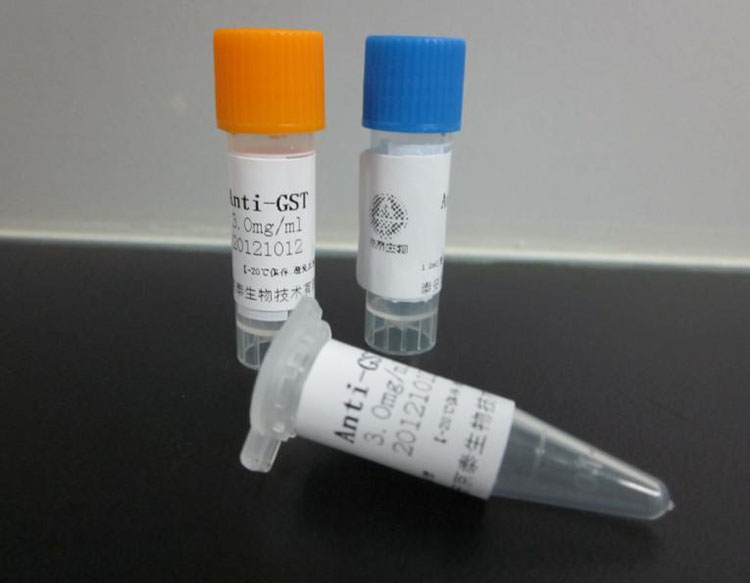  巨翼化工品國際貨代如此厲害的原因！